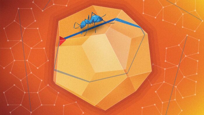 کشف جدید ریاضی‌دانان درمورد دوازده وجهی منتظم / Mathematicians report new discovery about the dodecahedron