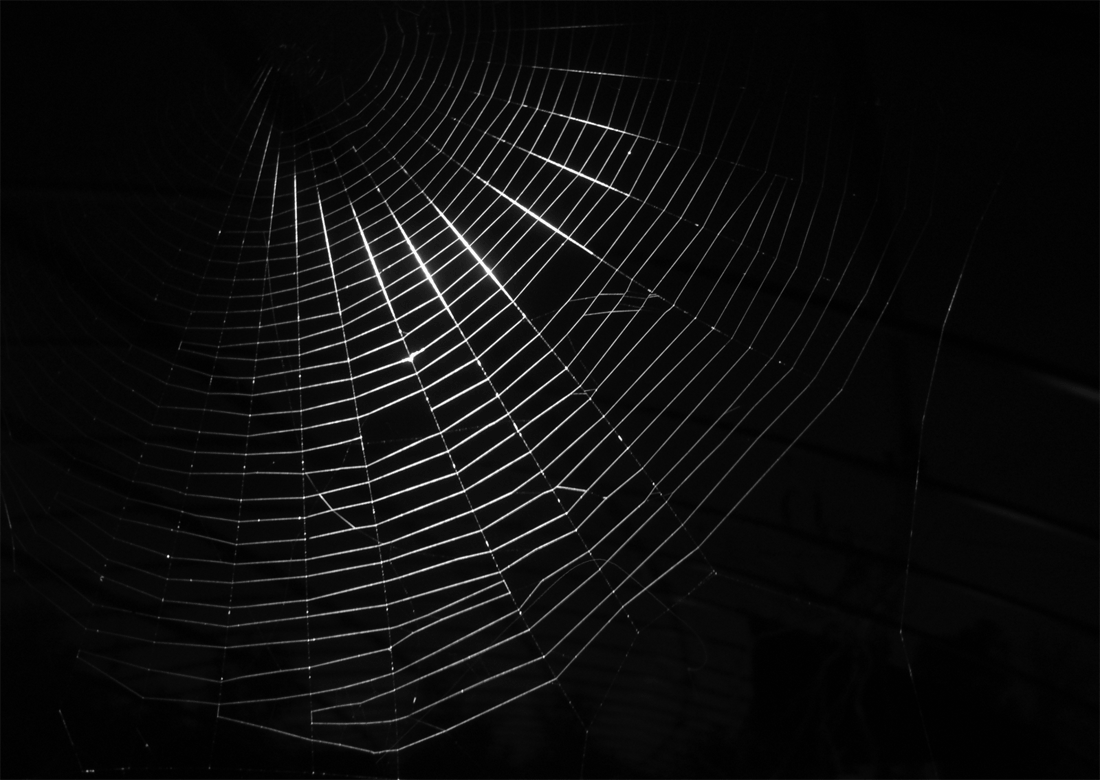 دارک وب/dark web